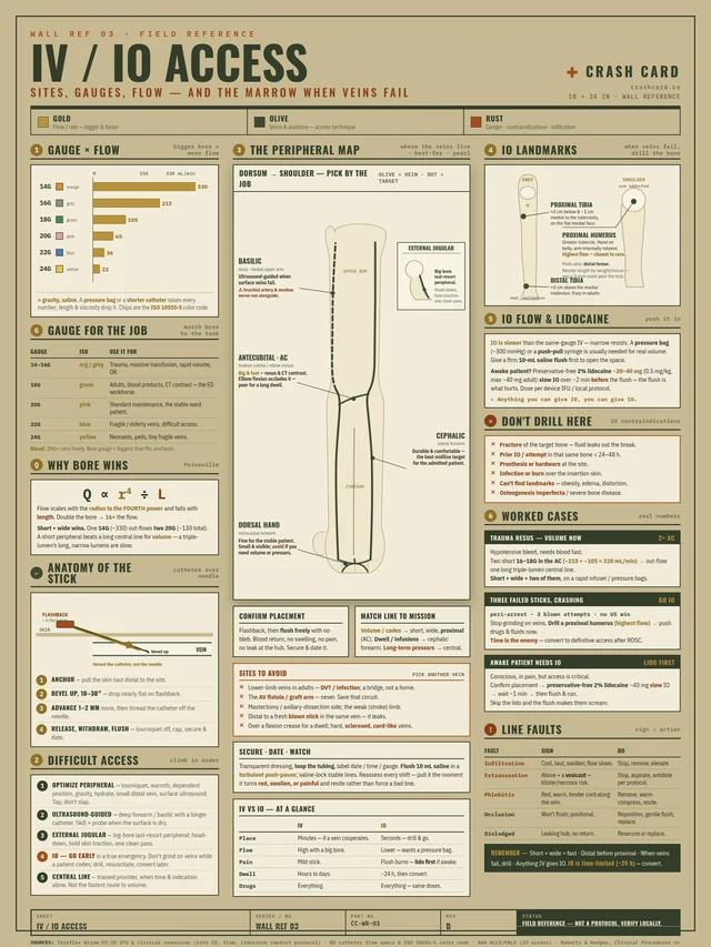 IV / IO Access poster