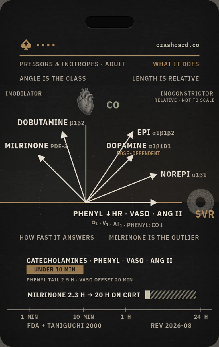 Pressors and Inotropes card back: the agent-by-receptor color grid and the titration axis for each vasoactive drug.