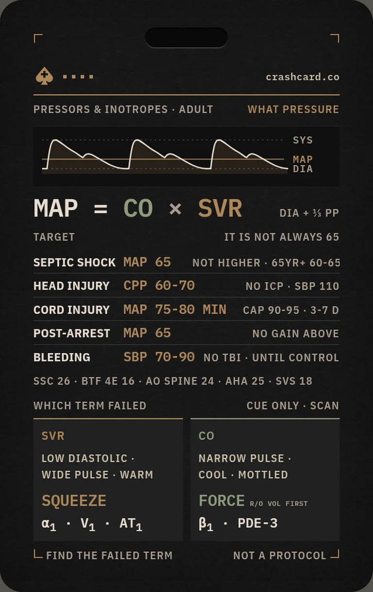 Pressors and Inotropes card front: MAP target by condition for septic shock, head injury, cord injury, post-arrest and bleeding, plus the pressure-versus-flow decision guide.