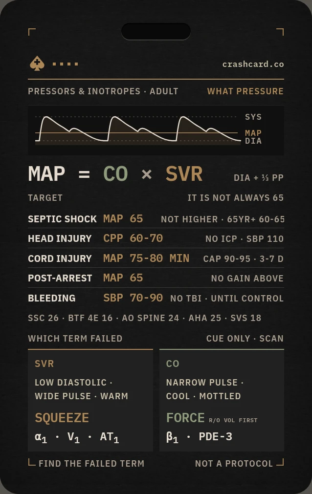 Pressors and Inotropes card front: MAP target by condition for septic shock, head injury, cord injury, post-arrest and bleeding, plus the pressure-versus-flow decision guide.