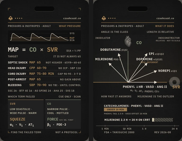 The front and back of the Pressors and Inotropes card side by side, showing both faces together.